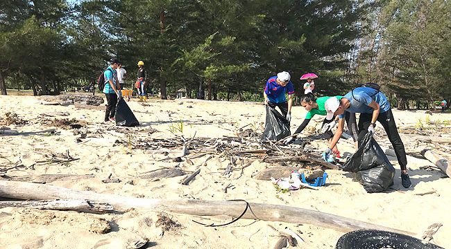 Beach clean-up sees waste haul