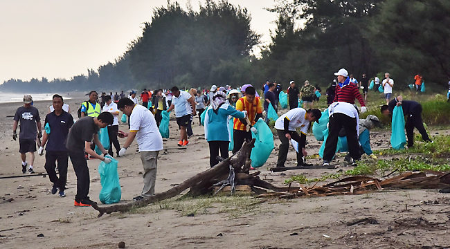 6.5 tonnes of trash collected at beach clean-up