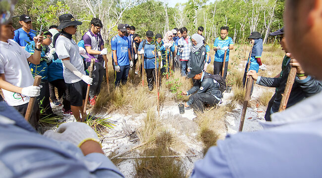 510 saplings for Berakas Forest Reserve